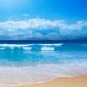 Meet your Posher, Cathy